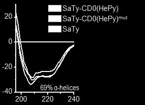 pylori (A) Shematski prikaz strukture proteinov SaTy in SaTy-CD0(HePy) mut.