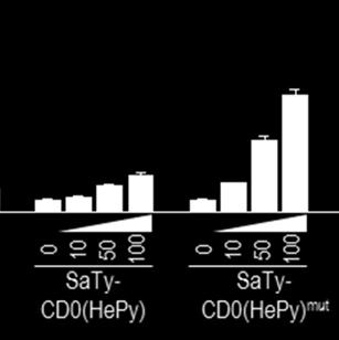 himernih proteinov SaTy-CD0(HePy) in SaTy-CD0(HePy) mut v območju od 195 do 240