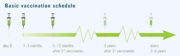 Shema cepljenja Osnovno cepljenje - 3 odmerki Izvajanje cepljenja tekom celega leta.
