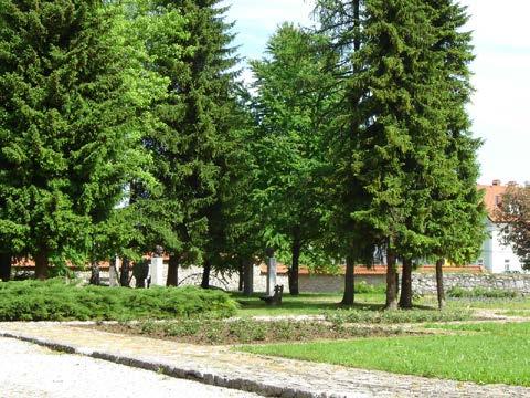 Ribnica, kjer se odvijajo poročne svečanosti. Slika 5: urejanje zelenih površin Po Odloku je Komunala Ribnica d.o.o. zadolžena tudi za čistočo v mestnem naselju Ribnica.