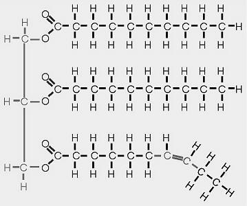 12 Slika 1: Strukturni prikaz sestave triacilglicerola (Carter, 1996) V preglednici 1 so prikazane maščobne kisline z njihovimi kemijskimi in trivialnimi imeni.