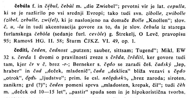 Novi etimološki slovar slovenskega jezika 3.4 Etimologija slovenskega jezika v 20. stoletju Čeprav smo v 19. in 20.