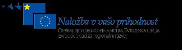 REPUBLIKA SLOVENIJA MINISTRSTVO ZA INFRASTRUKTURO DIREKCIJA REPUBLIKE SLOVENIJE ZA INFRASTRUKTURO IN PROSTOR Sektor za evropske zadeve in tehnično egulativo Tržaška cesta 19, 1000 Ljubljana Izvajalec
