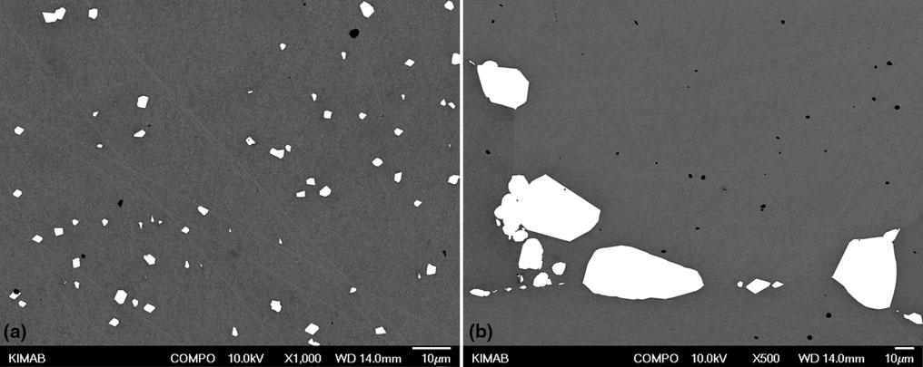 Fig. 16 (a) Micrograph of the microstructure in grains after heat treatment 500 h at 1423 K for the magnification 91000.