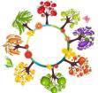 PONOVIMO Kaj je hrana? Naštejte hranilne snovi. Razdeli živila po skupinah. Katere so esencialne hranilne snovi? Katere hranilne snovi nam dajo energijo? Katere hranilne snovi so gradniki telesa?