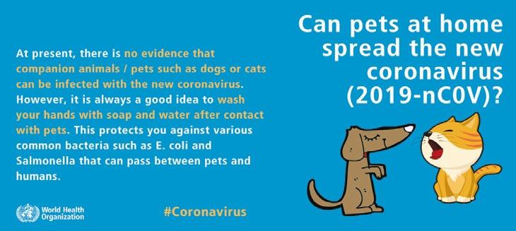 Koristno številka 2, marec 2020 27 Trenutno ni dokazov, da bi bilo tveganje za okužbo s koronavirusom povezano s hišnimi ljubljenčki, kot so psi in mačke.