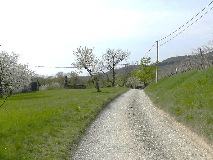 17 skorajda ravninski predel, in se odmaknjena od prometa vije med vinogradi. Kolesarska pot bi ostala prav tako kot do sedaj dostopna pot za lastnike parcel.