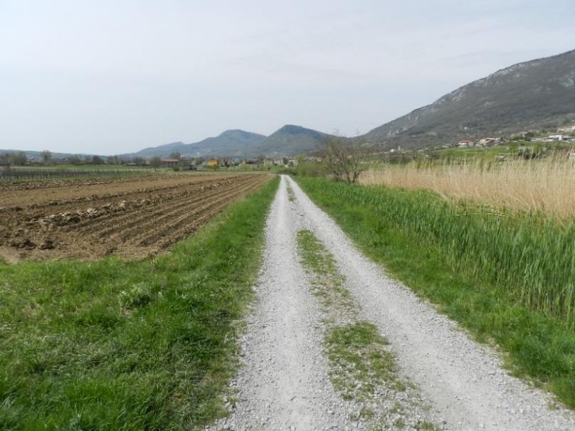 namenjeni dostopu do kmetijskih površin. Zadnji odsek kolesarske poti poveže kraj Ozeljan s krajem Šempas.