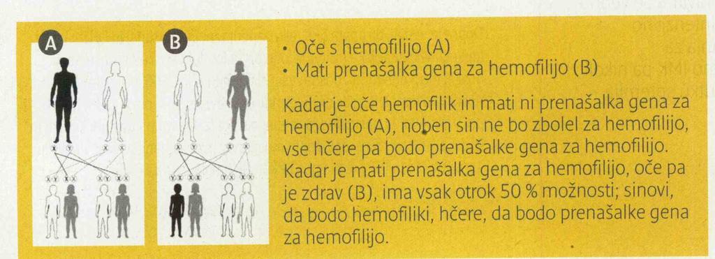 Obe vrsti hemofilije (A in B) se dedujeta s spolnim kromosomom X. Z enega človeka na drugega se hemofilija prenaša le z dedovanjem.