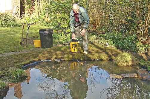 35 SLIKA 34 Mlaka na vrtu Davida Withringtona v mestu Peterborough v Angliji. Mlaka je sonaravna, tudi rastlinje v njej je zna~ilno vodno in avtohtono.