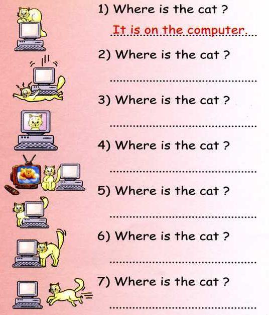 DODATNO: Pri tej nalogi moraš odgovoriti na vprašanja, kje si nahaja mačka. Odgovore zapišeš v celih povedih. En primer je rešen.