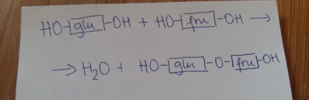 Kemijsko enačbo zapišemo tako, iz molekule glukoze in fruktoze, ki imata enaki molekulski formuli se odcepi voda, nastane saharoza, ki ima kemijsko formulo.