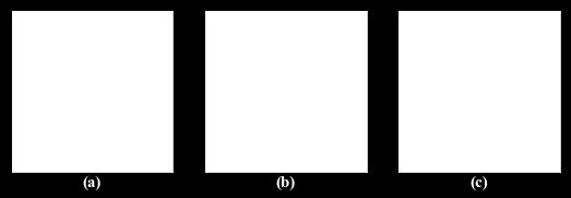'vertices') konture (slika 3.2 (c)). Slika 3.2: (a) Točke na konturi in v notranjosti. (b) Točke na konturi.