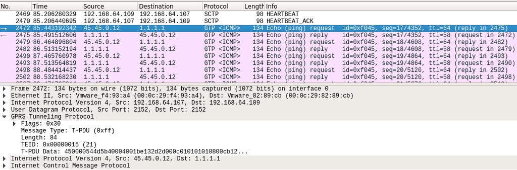 71 Testna vzpostavitev in preizkus delovanja mobilnih jeder Slika 33: Wireshark ping sporočila.