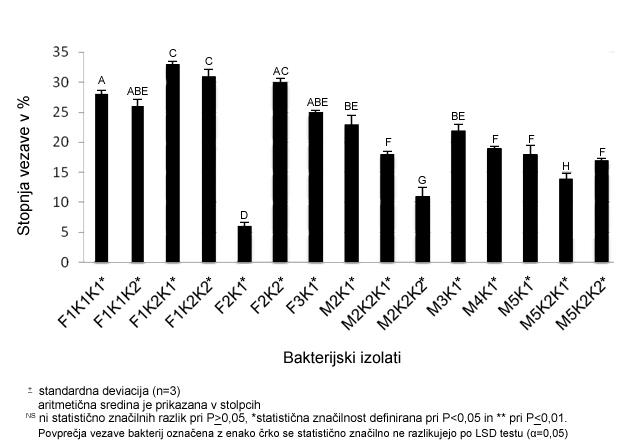 52 Iz Slike 11 je razvidno, da so se najuspešneje vezale na celično linijo PSI bakterije F1K1K2 (Lactobacillus Plantarum) in to z 28 % ter F1K1K1 (Lactococcus Rafinolactis) in M2K1 (Lactobacillus