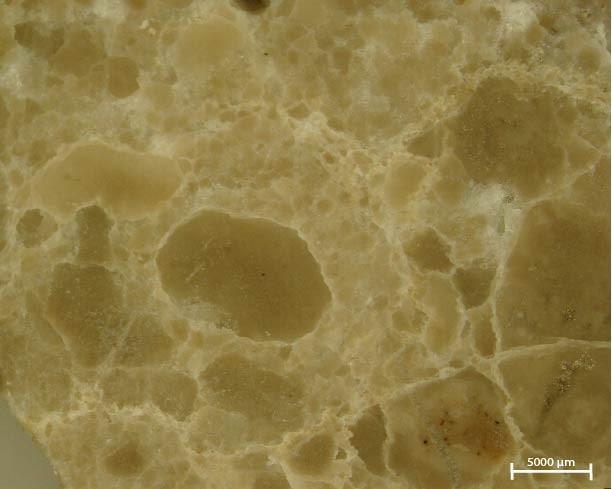 a Slika 11: Peloidni packstone algalne žoge. a makroskopski posnetek onkoidi tipa algalne žoge. Vzorec: 146,55A.