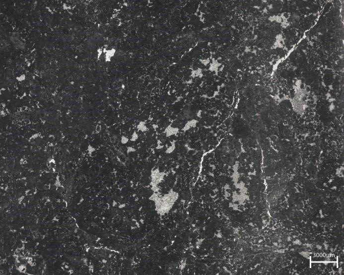b a Slika 12: Peloidni packstone intraklasti, geopetalne zapolnitve. a Intraklast z mikritnim ovojem. Vzorec: 159,10.