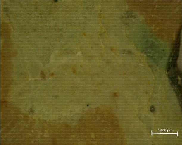 a Slika 19: Mikritni mudstone/packstone. Vzorec: 0,55. a Makroskopski posnetek zeleno obarvanega cementa z zrni oksdiranega pirita (označen s krogom).