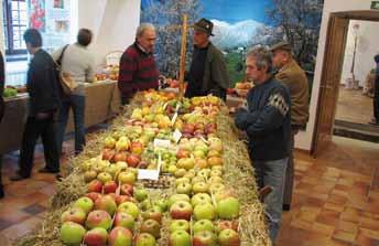 aktualno Slovenska razstava sadja v Tolminu Goriško kmetijsko društvo je ob stoti obletnici sadne razstave pri Sveti Luciji ob Soči (danes Most na Soči) v prostorih Tolminskega muzeja organiziralo