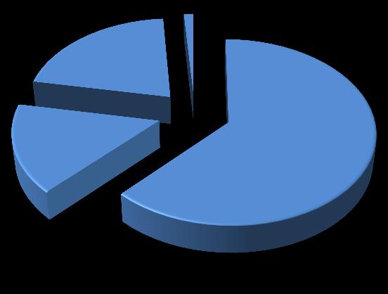 Odhodki Struktura odhodkov Skupine Cetis v prvem polletju 2013 Stroški splošnih služb 21% Drugi poslovni odhodki 1% Stroški