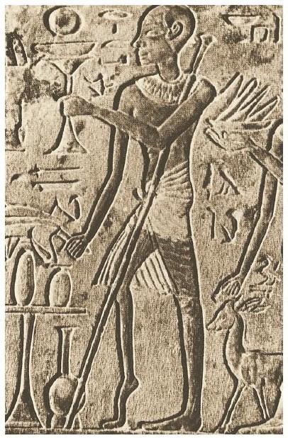 Na sliki relief iz egipčanske grobnice iz Devetnajste dinastije (1342 1197 pr. n. št.), ki prikazuje duhovnika z deformacijo noge, značilno za poliomielitis.