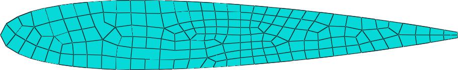 ograji posameznega podobmočja, se generira struktuirana mreža heksaedričnih KE,