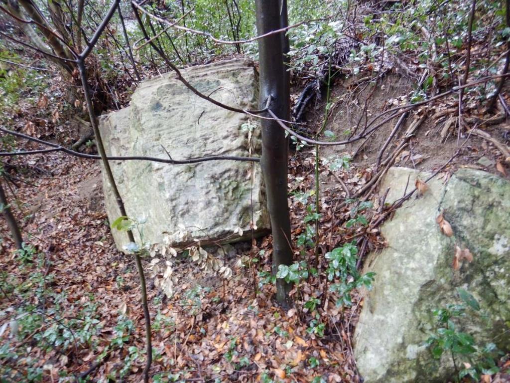 Slika: Skalni bloki za odlomnim robom pri objektu Cesta na Markovec 29 Pobočje za objektom CNM 31 je bilo sanirano leta 2018. Za zaščito brežine je bila uporabljena sidrana mreža.