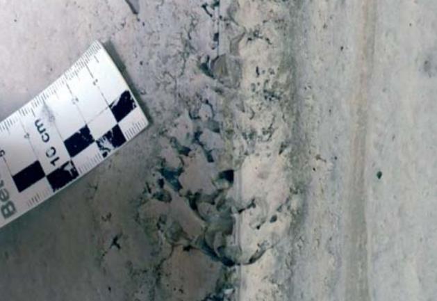 6: Rob betonske stene zaradi nezadostno zatesnjenega opažnega roba (Vir: Holcim, 2011) Odmik v betonski površini