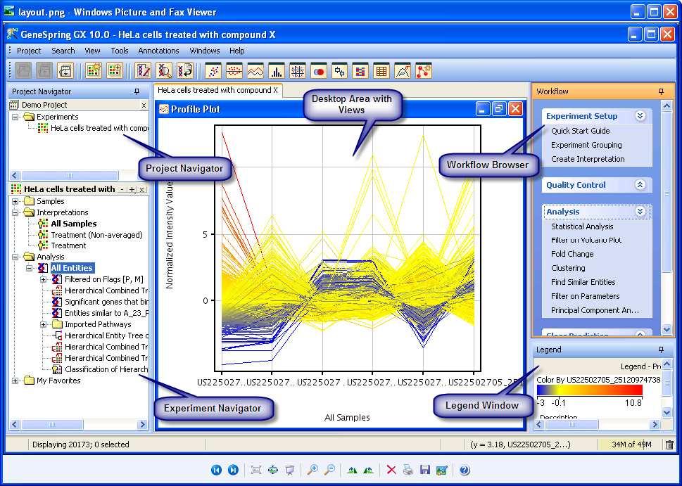 GeneSpring GX 11 Vocabulary Project primary workspace which contains a collection of experiments Experiment collection of samples that are analyzed as a set.