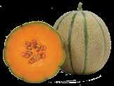 Melone Priporočilo za melone in lubenice: sajenje na črno folijo, ki zelo segreje tla.