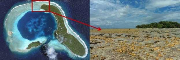 14. ATOLI Obročasti otoki ali atoli dajejo poseben čar morjem "Modre Krogle" in imajo zanimiv nastanek.