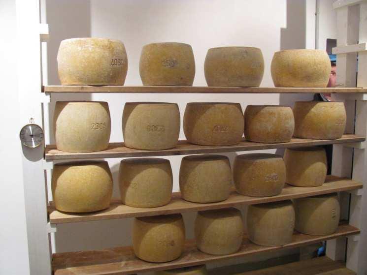 Na kmetiji smo si ogledali zorilnico sira in poskusili tri vrste sira, ki so se razlikovali po različni dobi zorenja. Delajo tri vrste sira, ki se razlikujejo po času zorenja (od 4 mesecev do 1 leta).