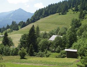 Slovenija je gozdnato travniška dežela Posebna kategorija travinja, ki se nahaja v statistitkah Eurostata, je eko travinje, to je travinje, kjer poteka pridelovanje krme in raba travne ruše na