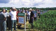 DUPLOSAN KV herbicid za zatiranje širokolistnega plevela v ozimnem in jarem žitu brez podsevkov ter travnikih in pašnikih.