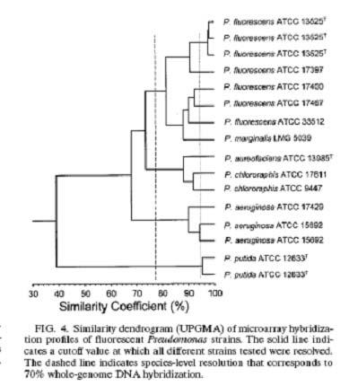 -Mikročipi fragmenti genomske DNA PCR produkti oligonukleotidi natisnjeni na 2D, 3D gelski nosilec Cho and Tiedje, 2001, Appl. Envir. Microbiol.