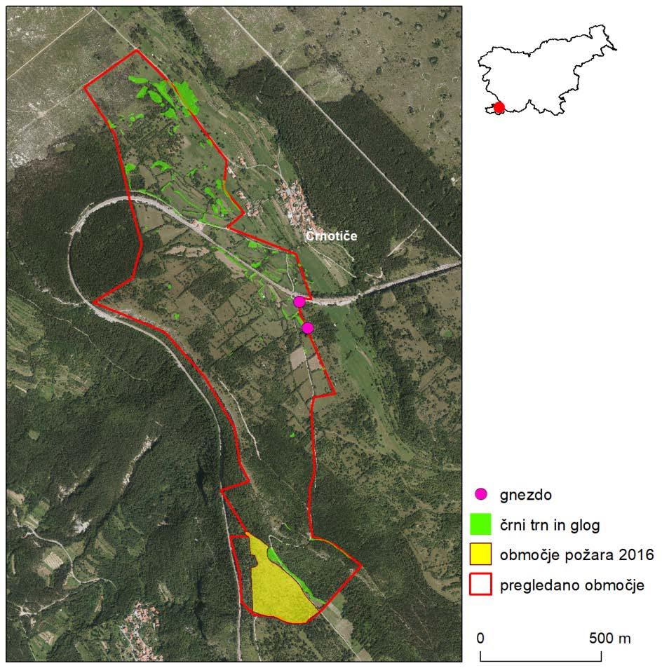 22 Slika 7: Stanje habitata in hromega volnoritca (Eriogaster catax) na območju sklenjene razširjenosti pri Črnotičah v letu 2017.