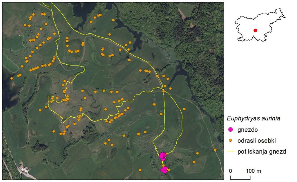 38 Slika 25: Primer pregleda območja na Radenskem polju pri iskanju gnezd travniškega postavneža (Euphydryas aurinia) v poznem poletju 2017.