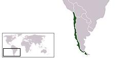 9 Paragvaj Površina: 406752 km2