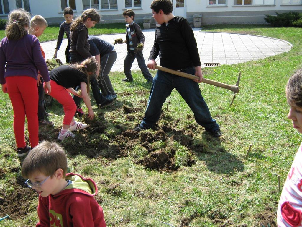 Zeliščni vrt v parku šole: V letu 2010 smo ročno oblikovali in zasadili zeliščni vrt v obliki srca, ki naj bi ponazarjalo ljubezen do
