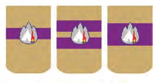 oznake v območni organizaciji ZTS načelnik območne organizacije ZTS: dva trakova vijoličaste barve, širine 3 cm in višine 1 cm, s srebrno značko ZTS.