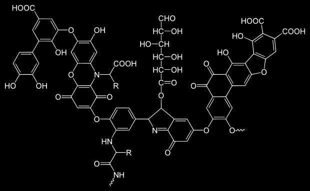 NARAVNE ORGANSKE SNOVI tipične predstavnice NOM so huminske kisline (TOC/DOC, spremenljiva sestava) predhodnice več kot 700 znanih stranskih produktov oksidacije oz. dezinfekcije (DBP) s klorom npr.
