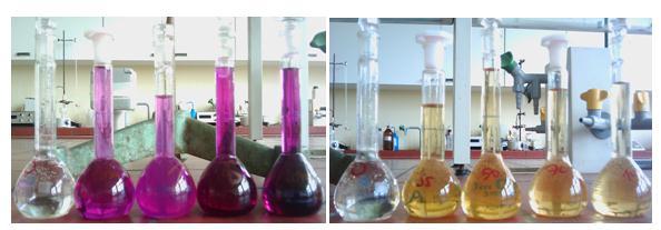 Odstranjevanje kroma iz izcedne vode s koagulacijo in adsorpcijo Stran 59 Slika 4 2: Pripravljeni vzorci za spektrofotometrične analize Cr(VI) ionov, po adsorpciji na modificirane zeolite iz modelnih