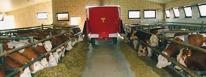 TMRkrmljenje nižji stroški visoka proizvodnja bolj zdrave krave TMR - krmljenje - korak v prihodnost!