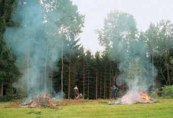 Slika 1: Požig sečnih ostankov mora potekati pod stalnim nadzorom odrasle opravilno sposobne osebe (foto Gorazd Mlinšek, Zavod za gozdove