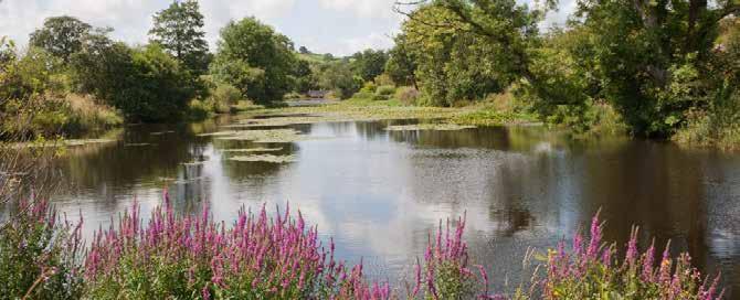 Slika 23: Primer enega izmed jezer Nacionalnega botaničnega vrta v Walesu v Angliji, ki je krajinsko dovršeno in ustvarja