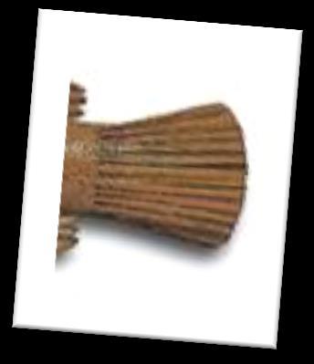 Ploski rep je značilen za BELE RIBE The flat tail is a characteristic of WHITE FISH.