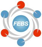 3. Aktivnosti Slovenskega biokemijskega društva Slovensko biokemijsko društvo je član več mednarodnih stanovskih organizacij. FEBS (http://www.febs.
