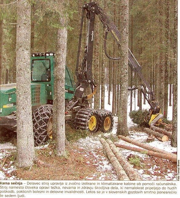 Pred 70 leti ko še ni bilo nobenega gozdarskega stroja, so podirali na roke. (slika iz:www.