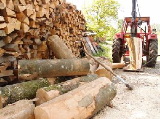 2. 7 Priprava drv Polena so tradicionalna oblika lesnega goriva.