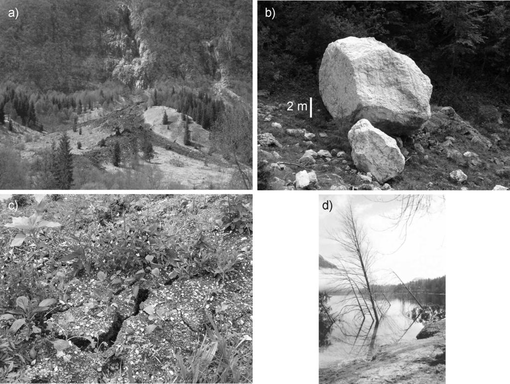 Slika 6 - Izbor drugih učinkov potresa na naravno okolje. (a) drobirski tok v dolini Lepene. (b) velik balvan v Doliču, (c) razpoke v tleh v Magozdu, (d) zdrs obale Bohinjskega jezera.
